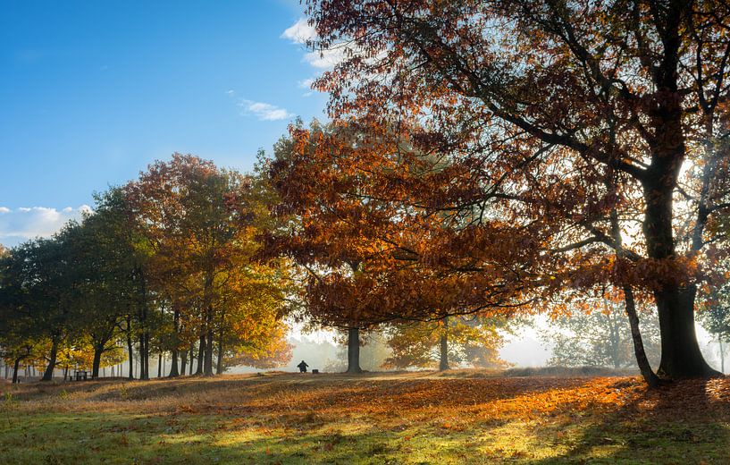 Onbekende Herfstfotograaf van Boris de Weijer