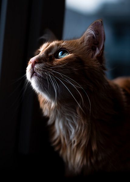 Farouche par K. Engelhardt Photography