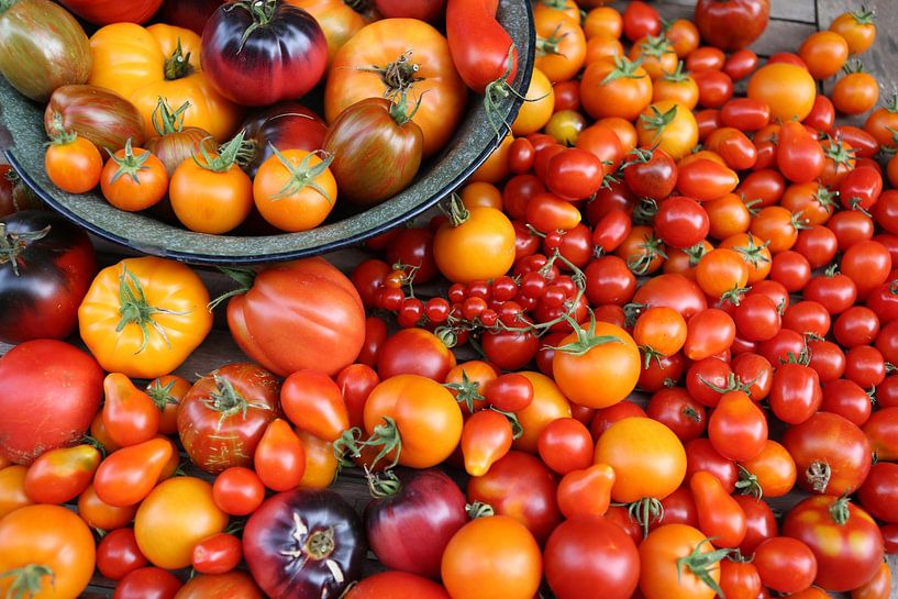Viele verschiedene Tomatensorten, Stillleben von Karina Gebert
