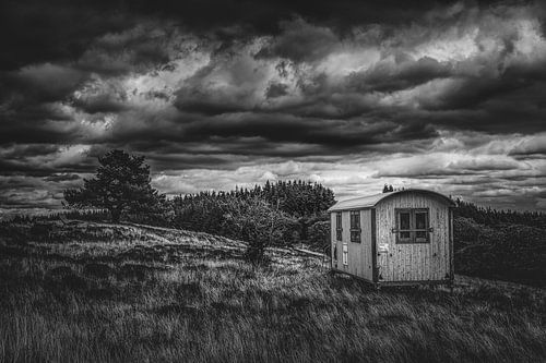 Dort wo der Schäfer schläft