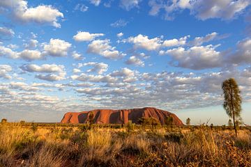 Zonsopgang Uluru (Ayers Rock), Australië van Troy Wegman