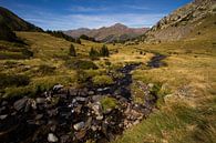 A stream runs through the beautiful Pyrenees von Paul Wendels Miniaturansicht