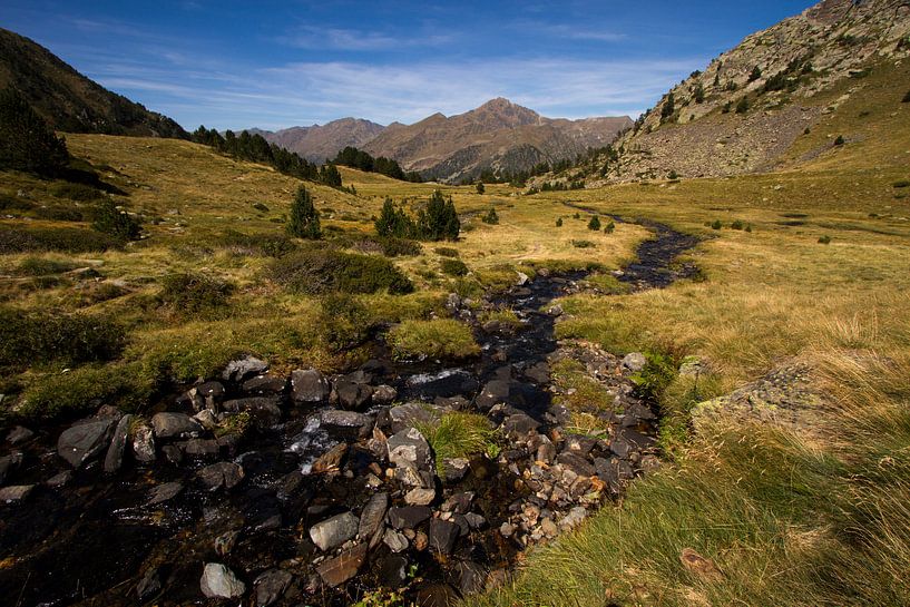 Een beekje loopt door de prachtige Pyreneeën van Paul Wendels
