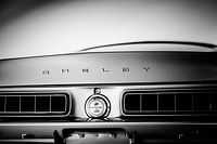 Ford Shelby GT 350 Fastback