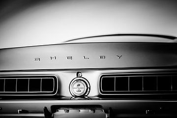 Ford Shelby GT 350 Fastback