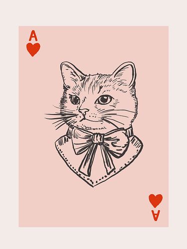 Cat Ace