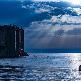 La côte de Rovinj en bleu sur Tierfotografie.Harz