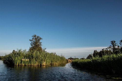 Waterkruising in de Wieden