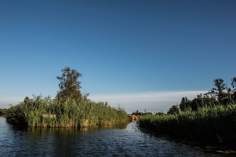 Waterkruising in de Wieden van Robert Snoek