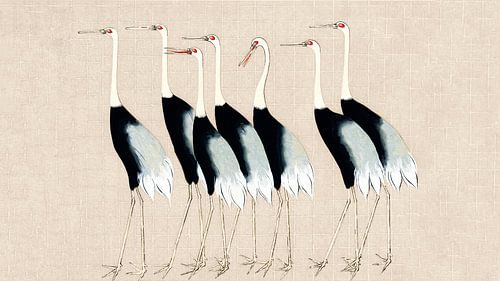 Japanse kraanvogels op crèmetextuur