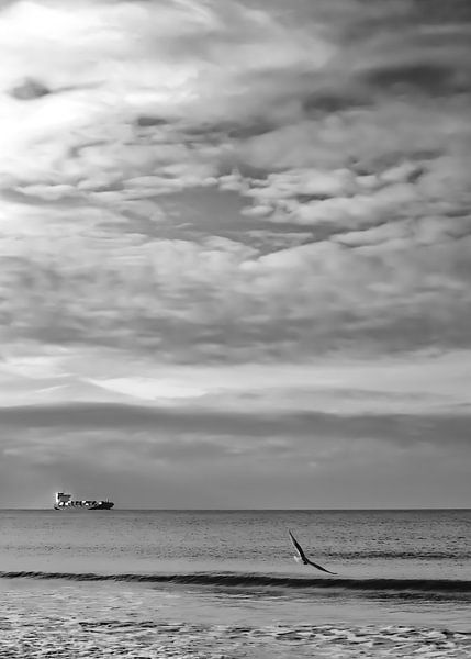 Boat and seagull by adriaan de waele