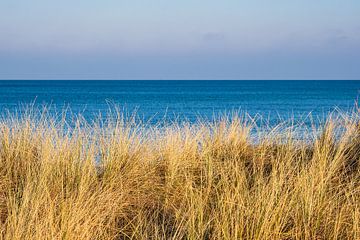 Baltic Sea coast in Graal Mueritz, Germany