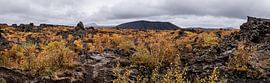 Snæfellsjökull-Nationalpark im Herbst von Kim van Dijk