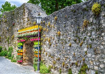Jardin vertical avec pots de fleurs multicolores sur les remparts de