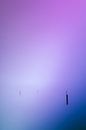 Blauw en paarse mist over de Rijkerswoerdse Plassen von Robert Wiggers Miniaturansicht