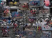 Cycling composition by b- Arthouse Fotografie thumbnail