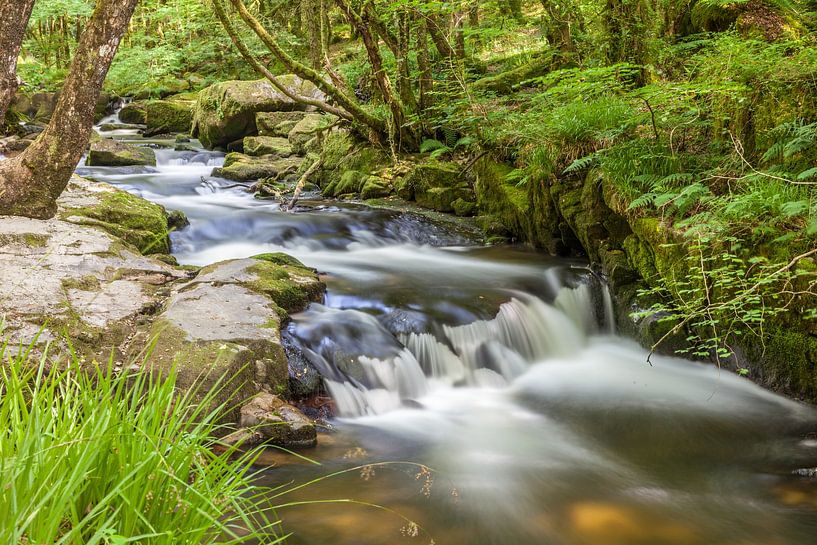 Fowey River St Neots, Bodmin Moor, Cornwall by Christian Müringer