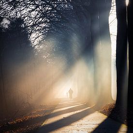 Figures in the fog by Anneke Hooijer