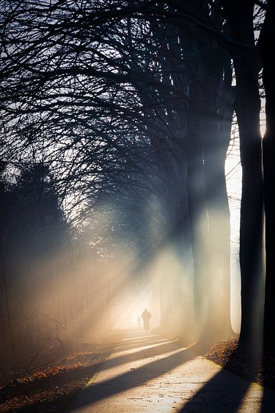Des figures dans le brouillard par Anneke Hooijer