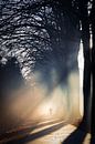 Des figures dans le brouillard par Anneke Hooijer Aperçu