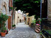 Een typisch Italiaans straatje. van Jose Lok thumbnail