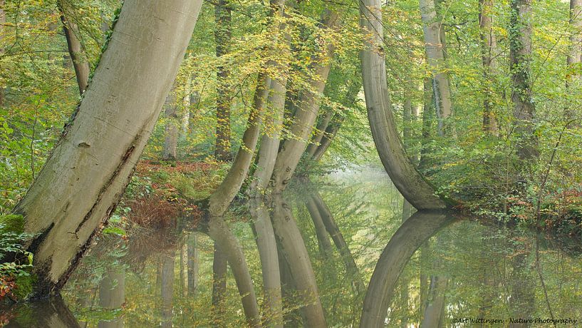 Tanzende Bäume von Art Wittingen