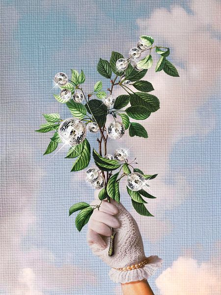 Disco Plant by Dagmar Pels