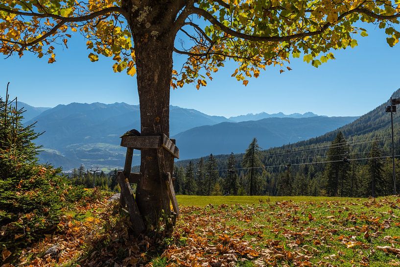 Feuilles d'automne par The Gufotography