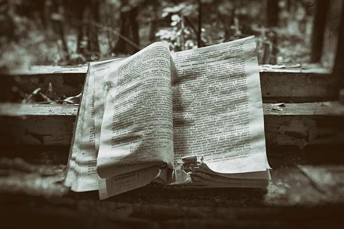 1 ramp, 1000 verhalen, Tsjernobyl