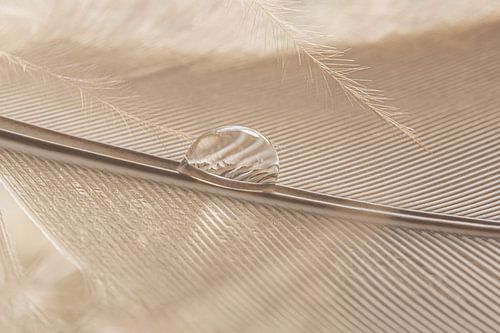 Rust en eenvoud: Een druppel op een veertje