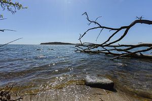 Naturstrand in der Goor, Lauterbach auf Rügen