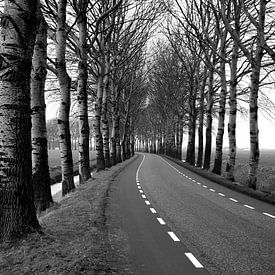 Weg in de buurt van Adorp (Groningen) in de winter van Willem Struiksma