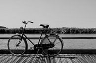 Radfahren auf dem Kanal von Sidney Graf Miniaturansicht