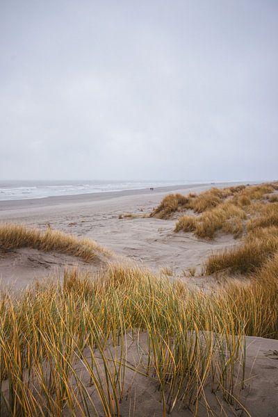 dunes, schiermonnikoog by Jasper Verolme