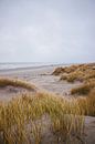 dunes, schiermonnikoog by Jasper Verolme thumbnail