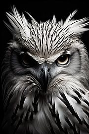 Bird portrait in black and white minimalist by Thilo Wagner