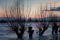 Winterse uiterwaarden Rijn, Oosterbeek