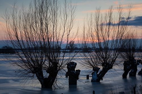 Plaine d'inondation hivernale Rhin, Oosterbeek