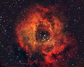 Die Rose am Himmel von Andrea Auf dem Brinke