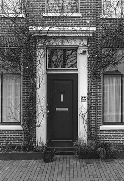 Zwart wit foto van poes voor Hollandse voordeur | Fine art foto print | Nederland, Europa van Sanne Dost
