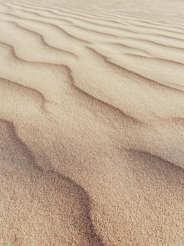 Windmuster im Sand - Wellen ohne Wasser