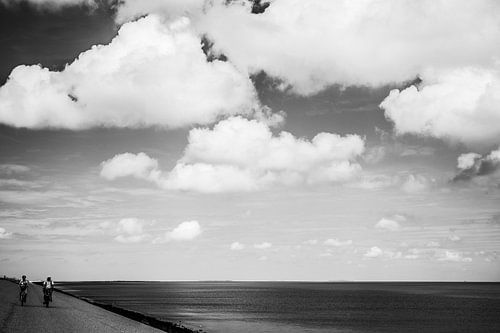 Fietsen op de dijk in Texel
