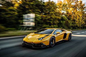 Lamborghini Aventador LP700-4 Mansory sur Bas Fransen