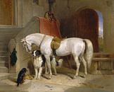 Favoris, Edwin Landseer par Des maîtres magistraux Aperçu