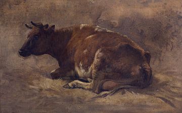 Cow, André Plumot
