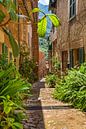 Fornalutx, Spanje, Mallorca van Alex Winter thumbnail