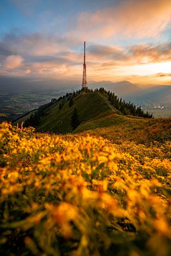 Bloemrijke zonsondergang op de Grünten