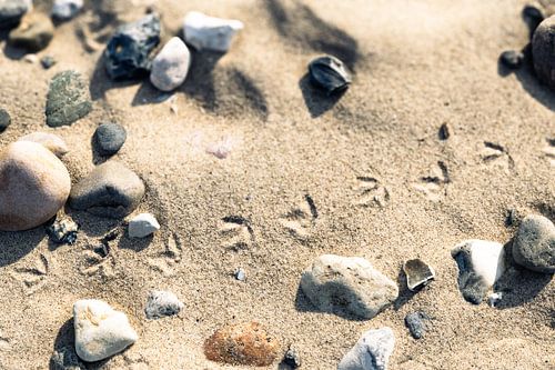 Spuren im Sand von Rüdiger Rohmann
