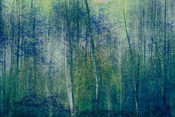 Forêt de nuit sur Lucia Leemans