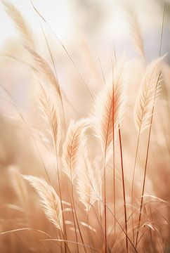 Silver pampas feather by Steffen Gierok